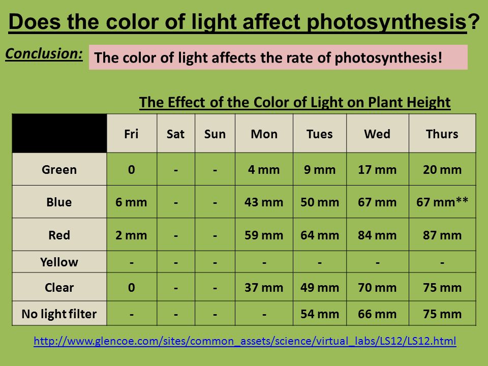 How does light affect the rate
